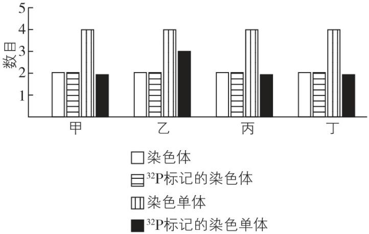 试题资源网 https://stzy.com