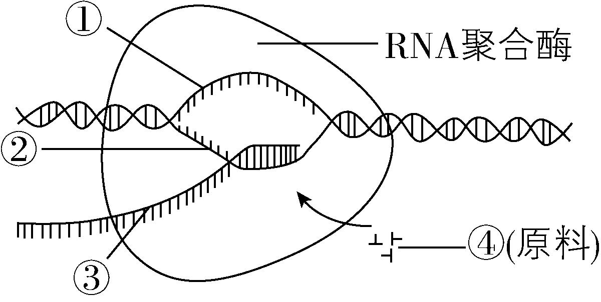 试题资源网 https://stzy.com