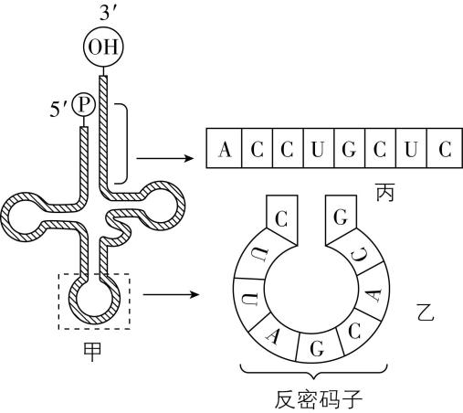 试题资源网 https://stzy.com