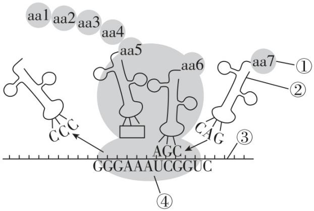 试题资源网 https://stzy.com