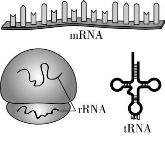 试题资源网 https://stzy.com