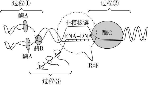 试题资源网 https://stzy.com