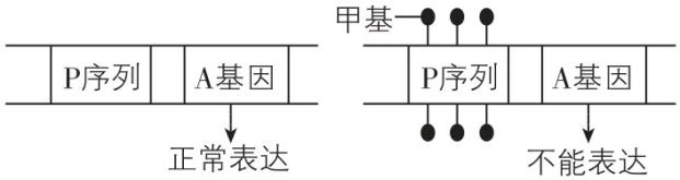 试题资源网 https://stzy.com
