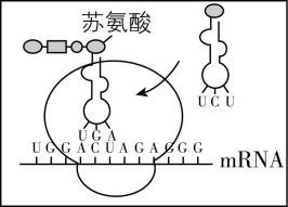 试题资源网 https://stzy.com