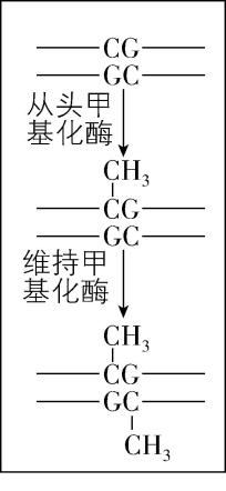 试题资源网 https://stzy.com
