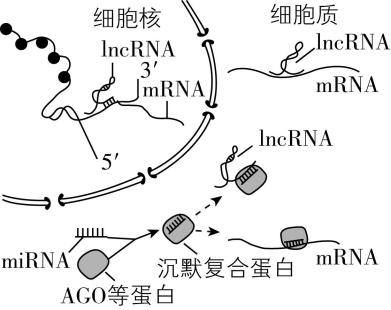 试题资源网 https://stzy.com