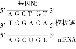 试题资源网 https://stzy.com
