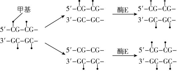试题资源网 https://stzy.com