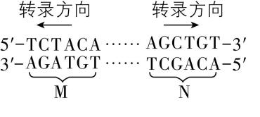 试题资源网 https://stzy.com