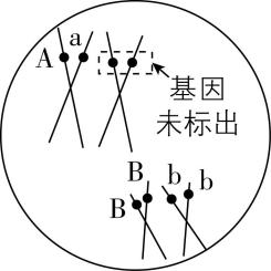 试题资源网 https://stzy.com