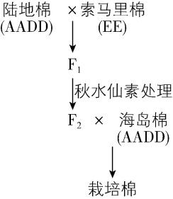 试题资源网 https://stzy.com
