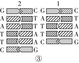 试题资源网 https://stzy.com