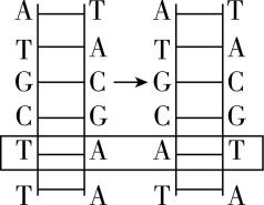 试题资源网 https://stzy.com