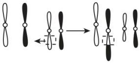 试题资源网 https://stzy.com