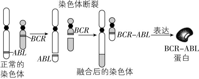 试题资源网 https://stzy.com