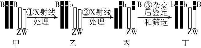 试题资源网 https://stzy.com