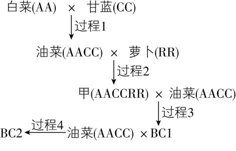 试题资源网 https://stzy.com