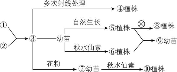试题资源网 https://stzy.com