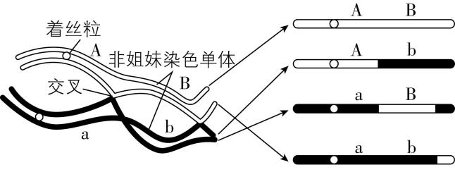 试题资源网 https://stzy.com
