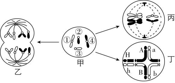 试题资源网 https://stzy.com