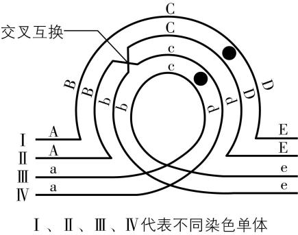 试题资源网 https://stzy.com