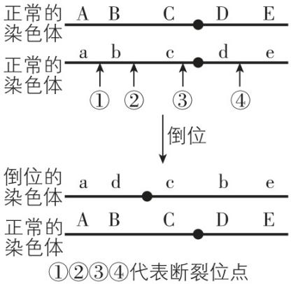 试题资源网 https://stzy.com