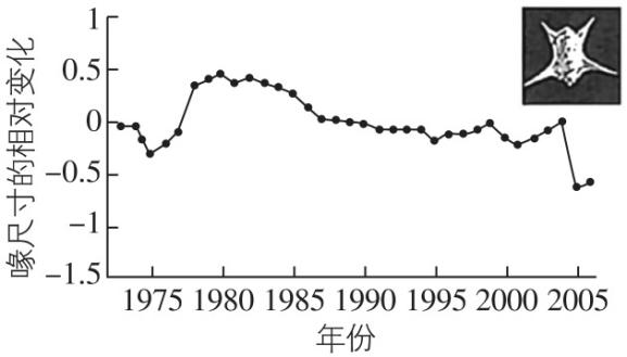 试题资源网 https://stzy.com