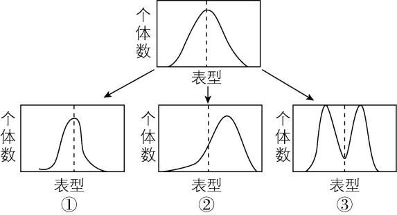 试题资源网 https://stzy.com