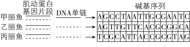 试题资源网 https://stzy.com