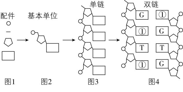试题资源网 https://stzy.com